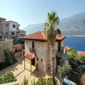 Luxurious Stone House Designed Villa 1
